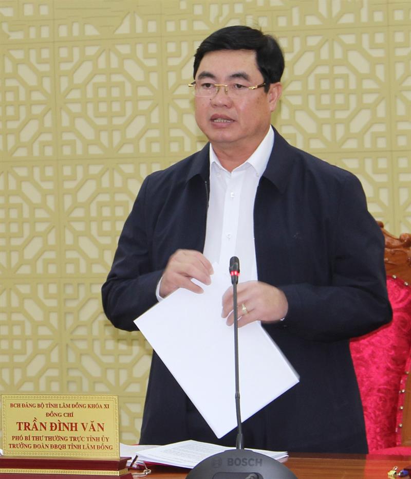 Đồng chí Trần Đình Văn - Phó Bí thư Thường trực Tỉnh ủy, Trưởng Đoàn Đại biểu Quốc hội khóa XV tỉnh phát biểu tại buổi làm việc