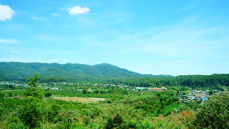 Màu xanh trên mảnh đất chiến khu Lộc Lâm năm xưa