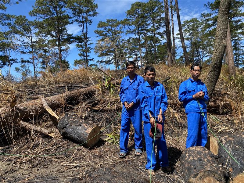 Công an Đam Rông tiến hành dựng lại hiện trường vụ phá rừng tại tiểu khu 216, xã Phi Liêng. Trong ảnh, 3 trong số 5 đối tượng khai nhận phá rừng tại hiện trường